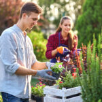 Gärtner mit Gartenhandschuhen stellt Blumen in eine weiße Holzkiste